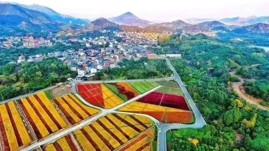 ee7d217d79f6f671305de4152b0d8128.jpg 微信圖片_20240219171018.jpg